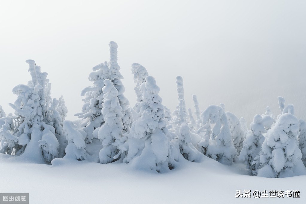 雪景伤感孤独诗句（雪唯美伤感意境雪景的文章）