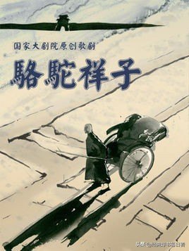 骆驼祥子第一章概括300字作文（真实写照《骆驼祥子》）