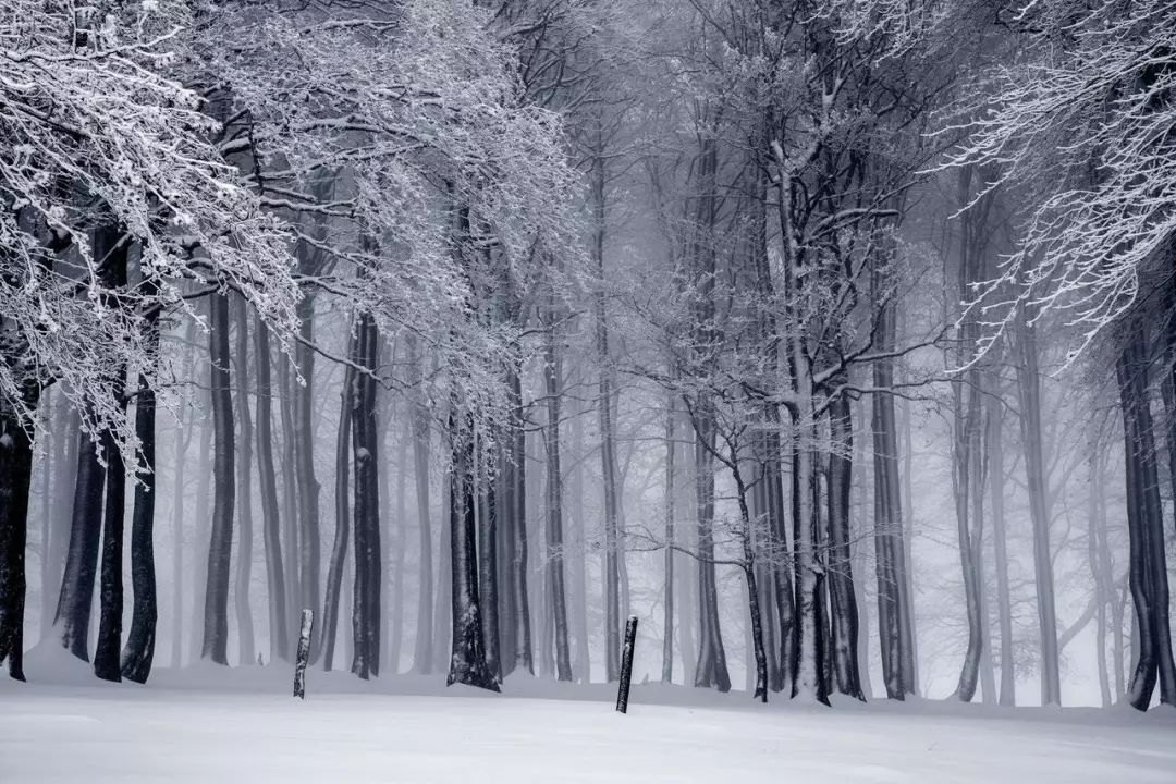 龙山雪文言文翻译（龙山雪文言文翻译及赏析）