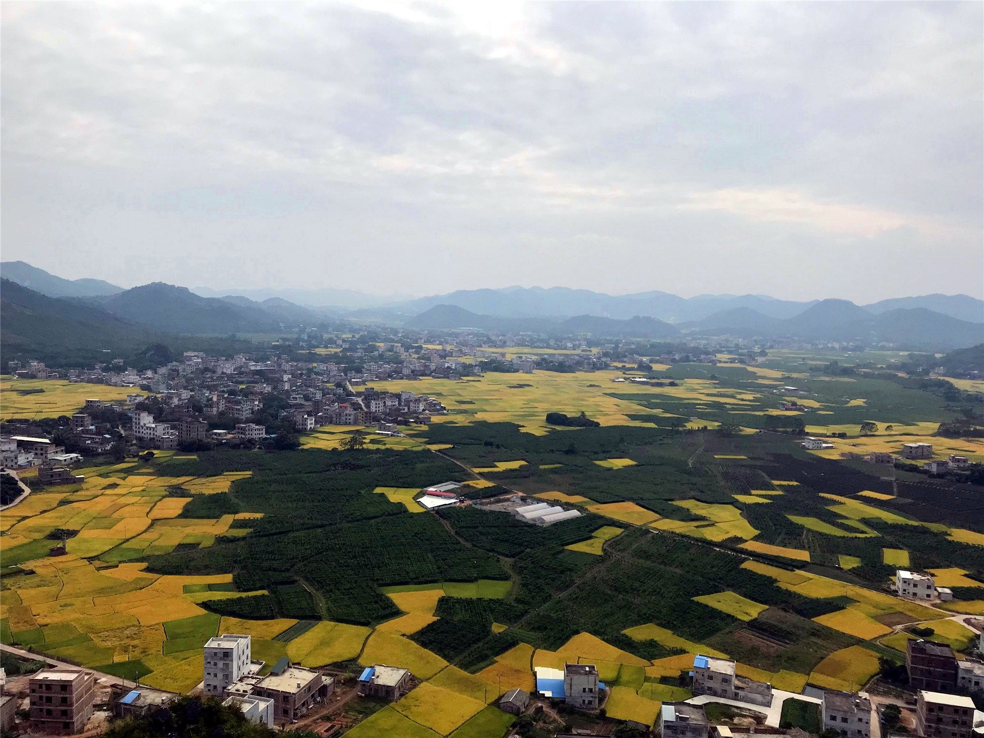 描写稻田的优美句子秋天（乡村稻田风景的美句分享）