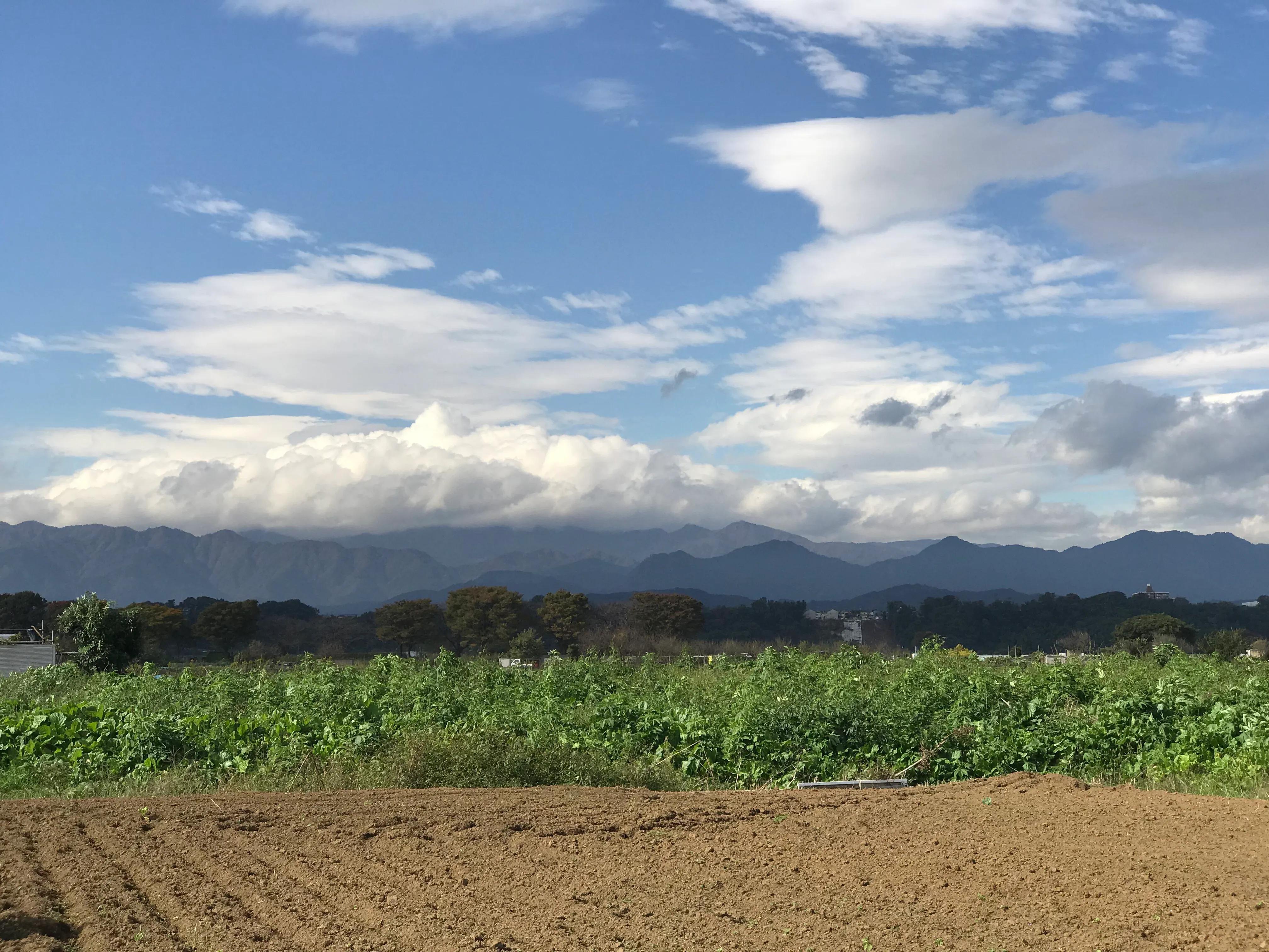 陶渊明归园田居翻译（归园田居其三古诗赏析）