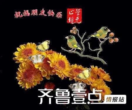 闲花淡淡春表达的意思（养花闲意唯美句子）