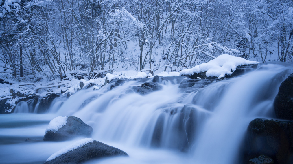 雪的诗句古诗大全（借雪表达情感的诗句）