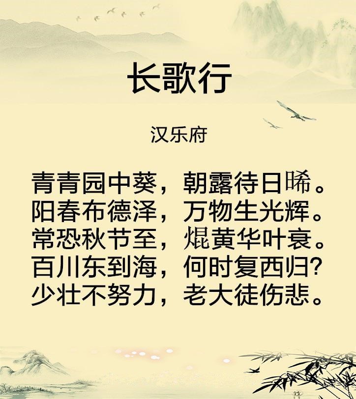 长歌行汉乐府古诗意思（长歌行诗歌赏析和译文分享）